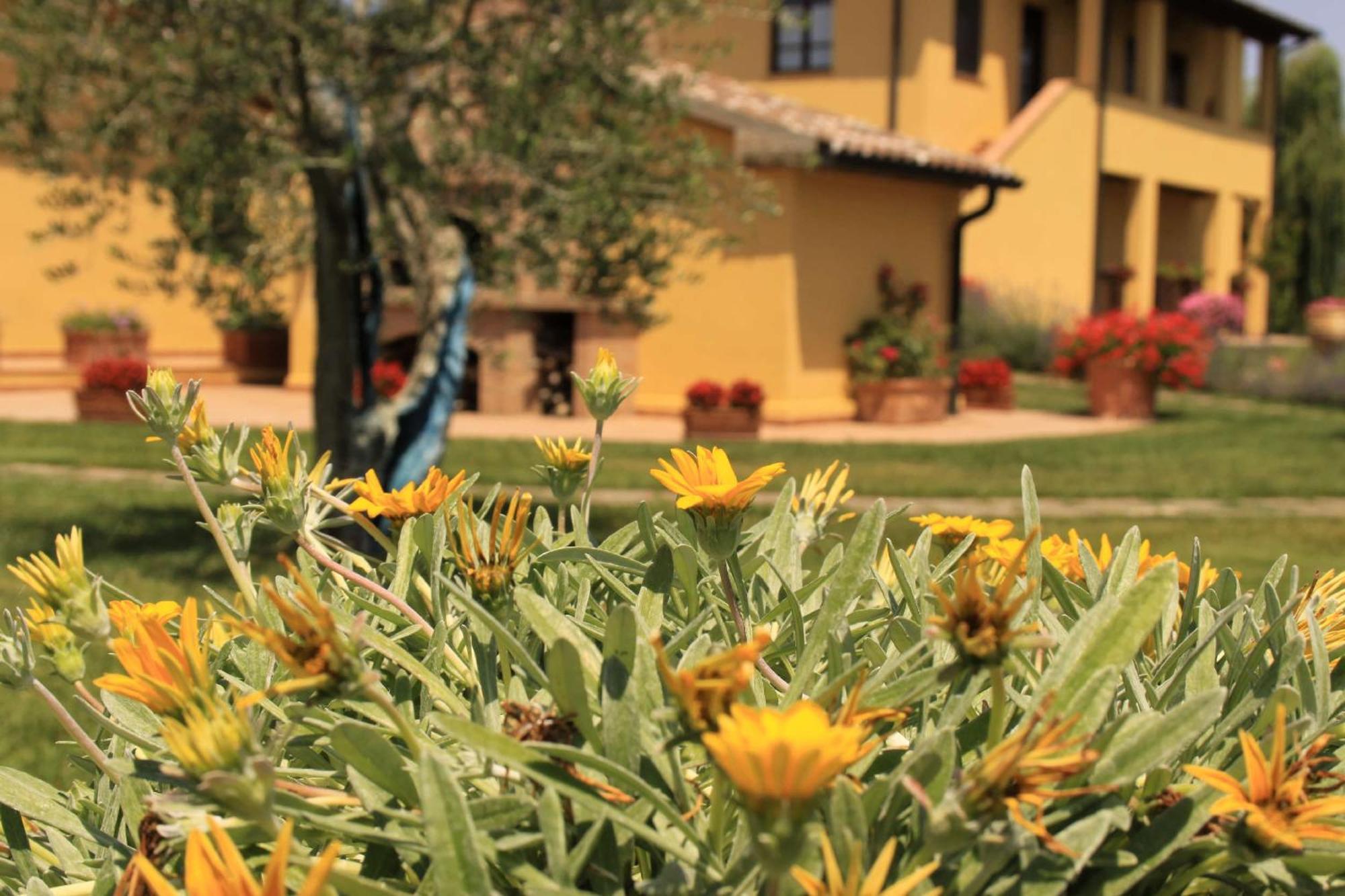 Podere Tre Cipressi Aparthotel Campiglia Marittima Buitenkant foto